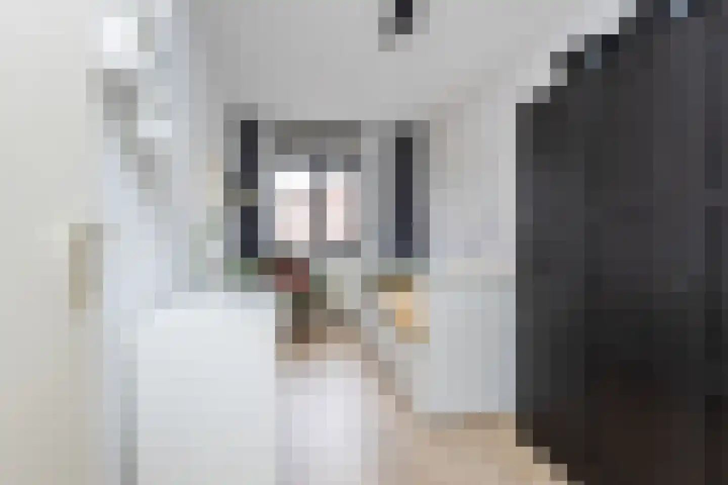 De van der Schuerenmarke 71 Zwolle thumbnail 19