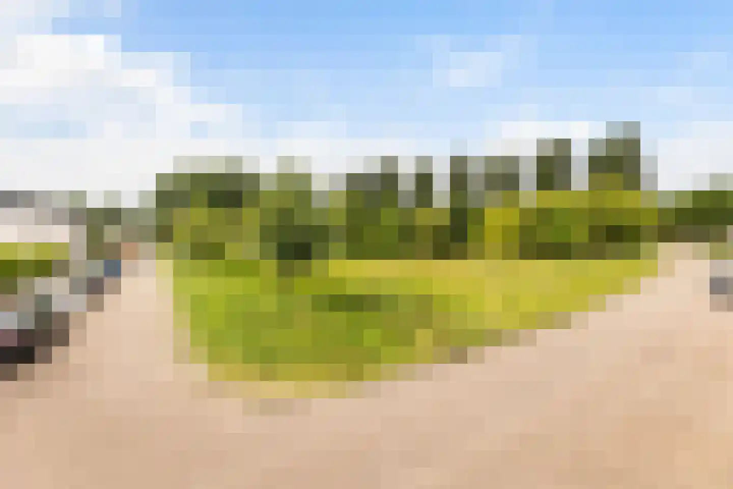 De van der Schuerenmarke 71 Zwolle thumbnail 4