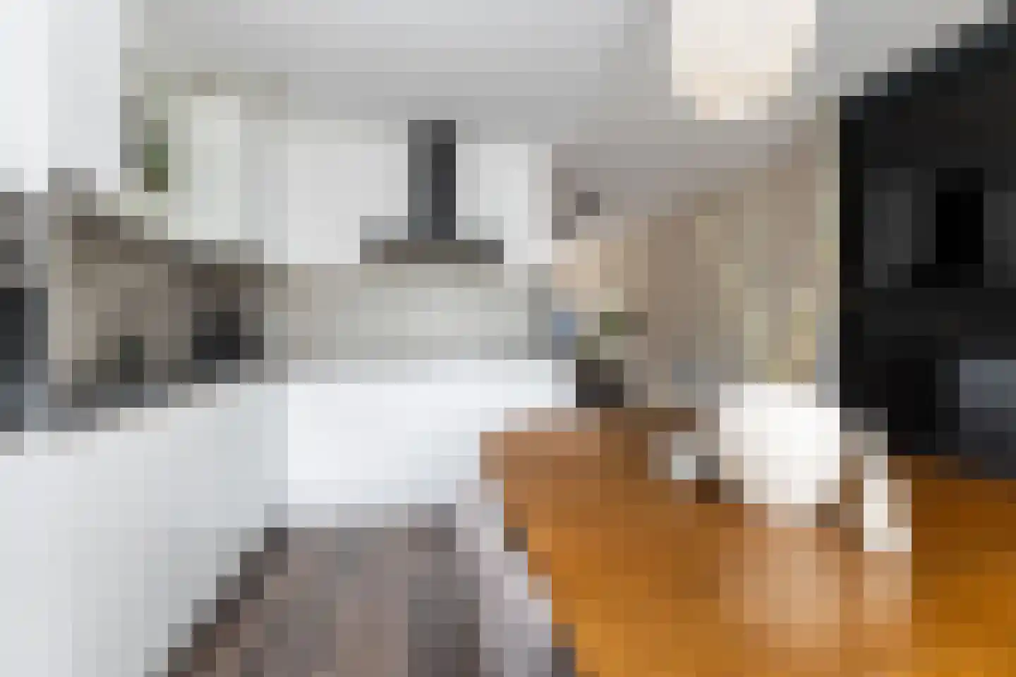 De van der Schuerenmarke 71 Zwolle thumbnail 7