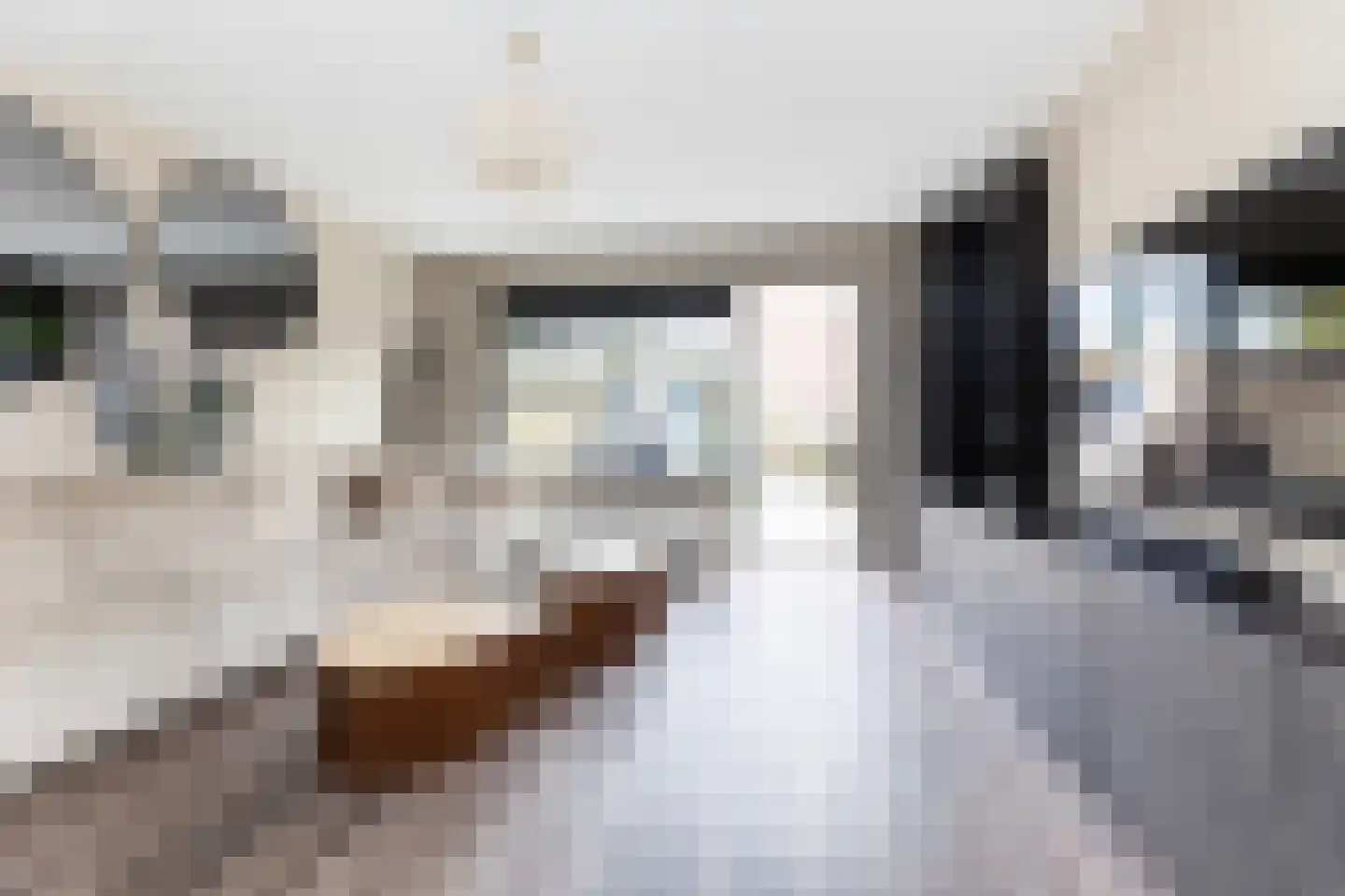 De van der Schuerenmarke 71 Zwolle thumbnail 9