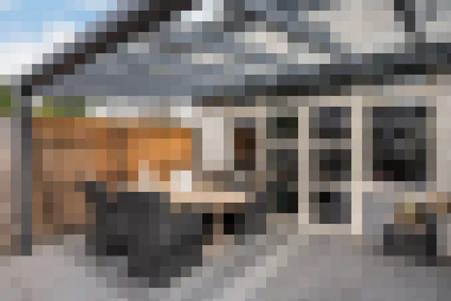De van der Schuerenmarke 74 Zwolle thumbnail 16
