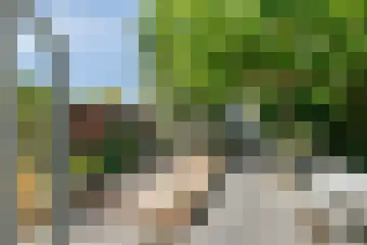 De van der Schuerenmarke 88 Zwolle thumbnail 11