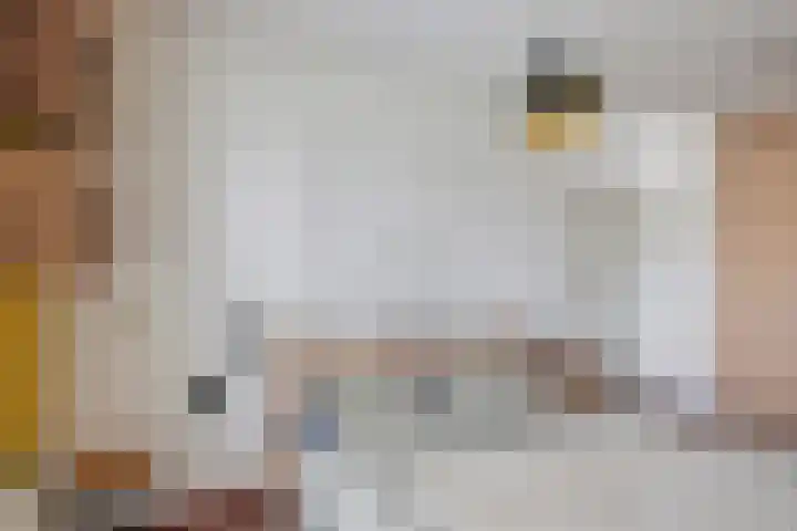 De van der Schuerenmarke 88 Zwolle thumbnail 27