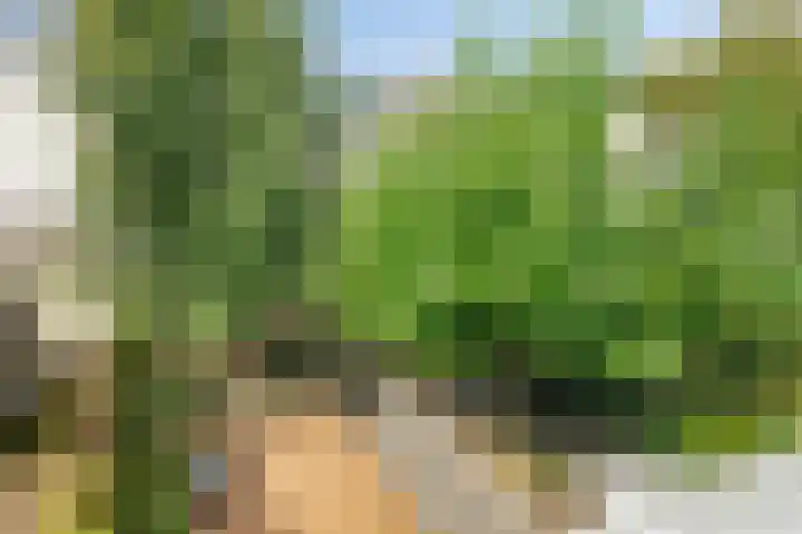 De van der Schuerenmarke 88 Zwolle thumbnail 33
