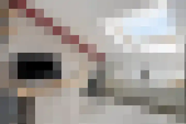 De van der Schuerenmarke 88 Zwolle thumbnail 36