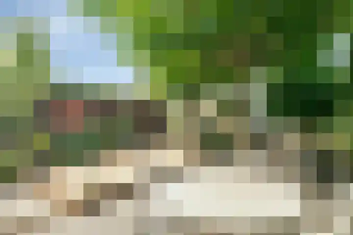 De van der Schuerenmarke 88 Zwolle thumbnail 41