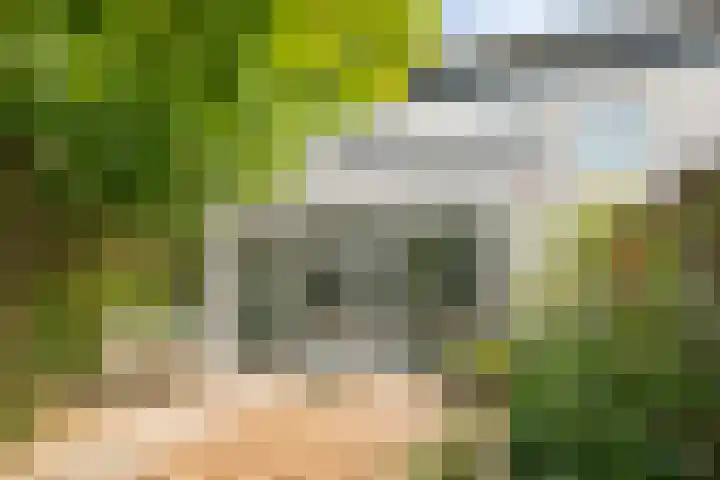 De van der Schuerenmarke 88 Zwolle thumbnail 43