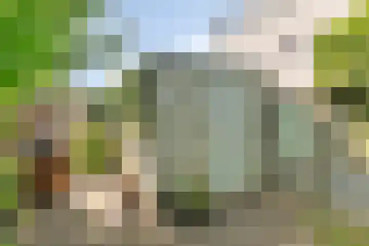 De van der Schuerenmarke 88 Zwolle thumbnail 45