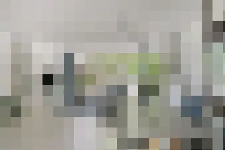 De van der Schuerenmarke 88 Zwolle thumbnail 5