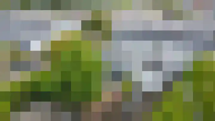 De van der Schuerenmarke 88 Zwolle thumbnail 50
