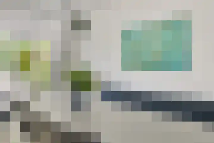 De van der Schuerenmarke 88 Zwolle thumbnail 6