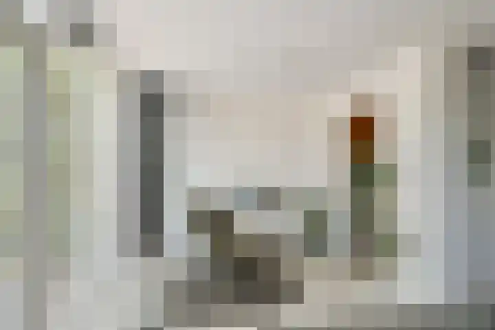 De van der Schuerenmarke 88 Zwolle thumbnail 8