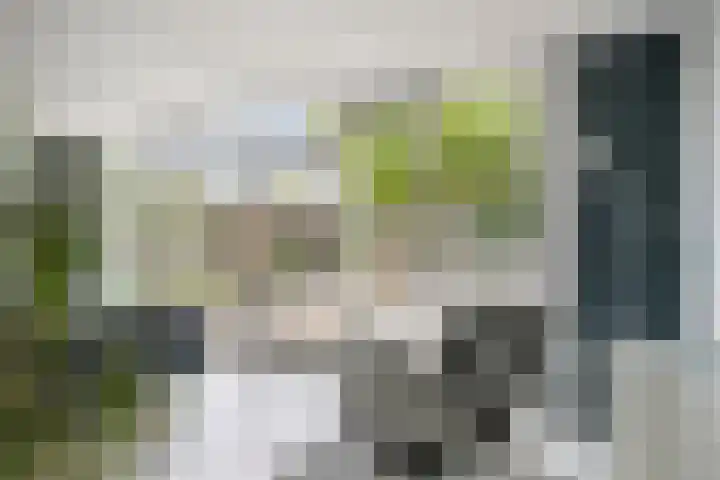 De van der Schuerenmarke 88 Zwolle thumbnail 9