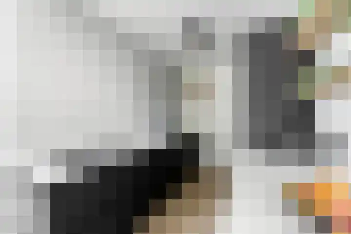 De Vang 12 Alblasserdam thumbnail 16