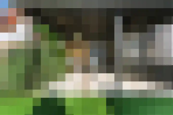 De Vang 12 Alblasserdam thumbnail 45
