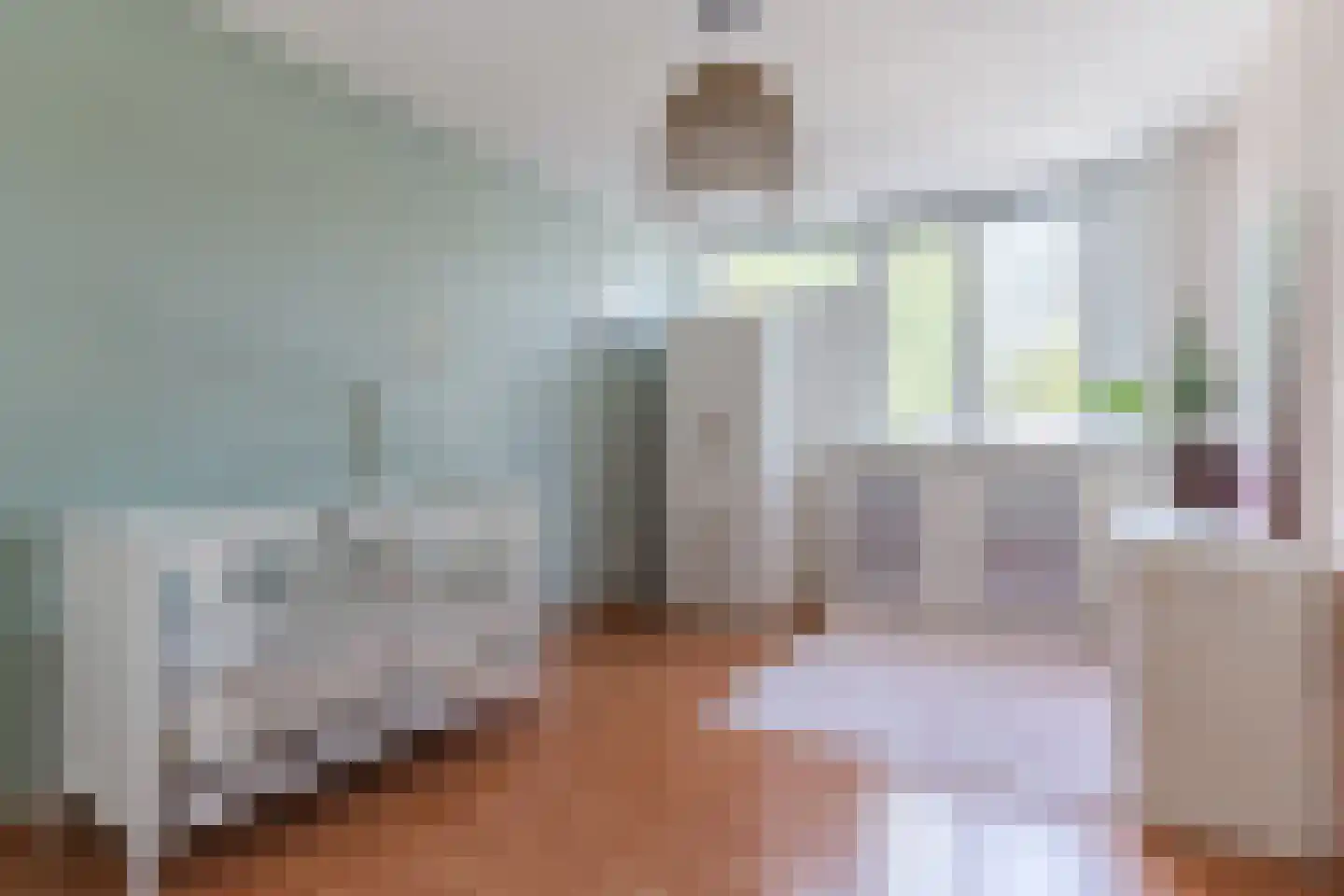 de Vang 13 Bergeijk thumbnail 16