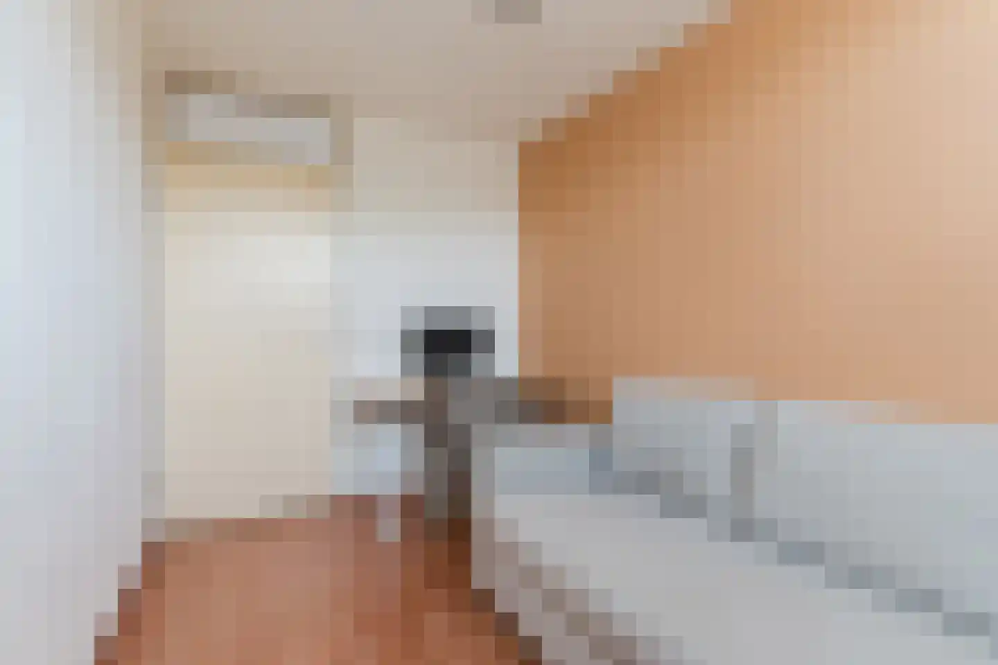de Vang 13 Bergeijk thumbnail 19