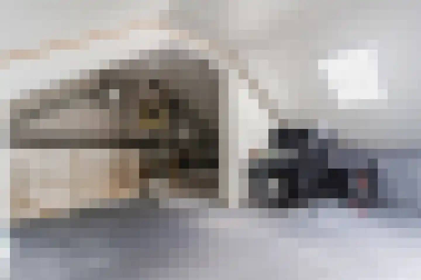 de Vang 13 Bergeijk thumbnail 24