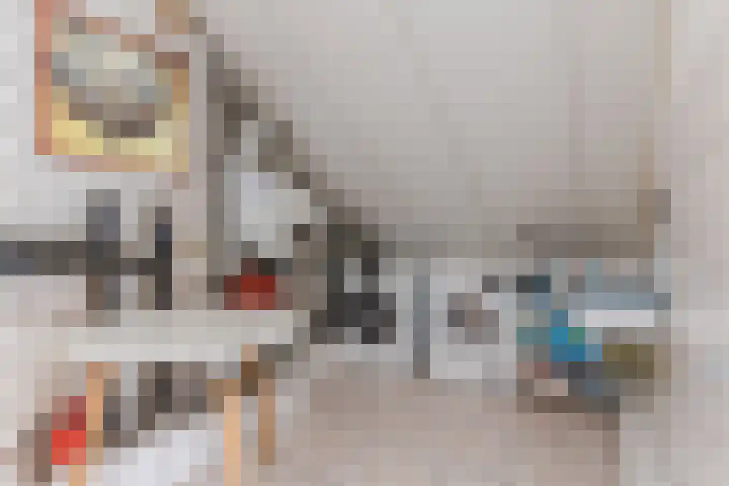 de Vang 13 Bergeijk thumbnail 25