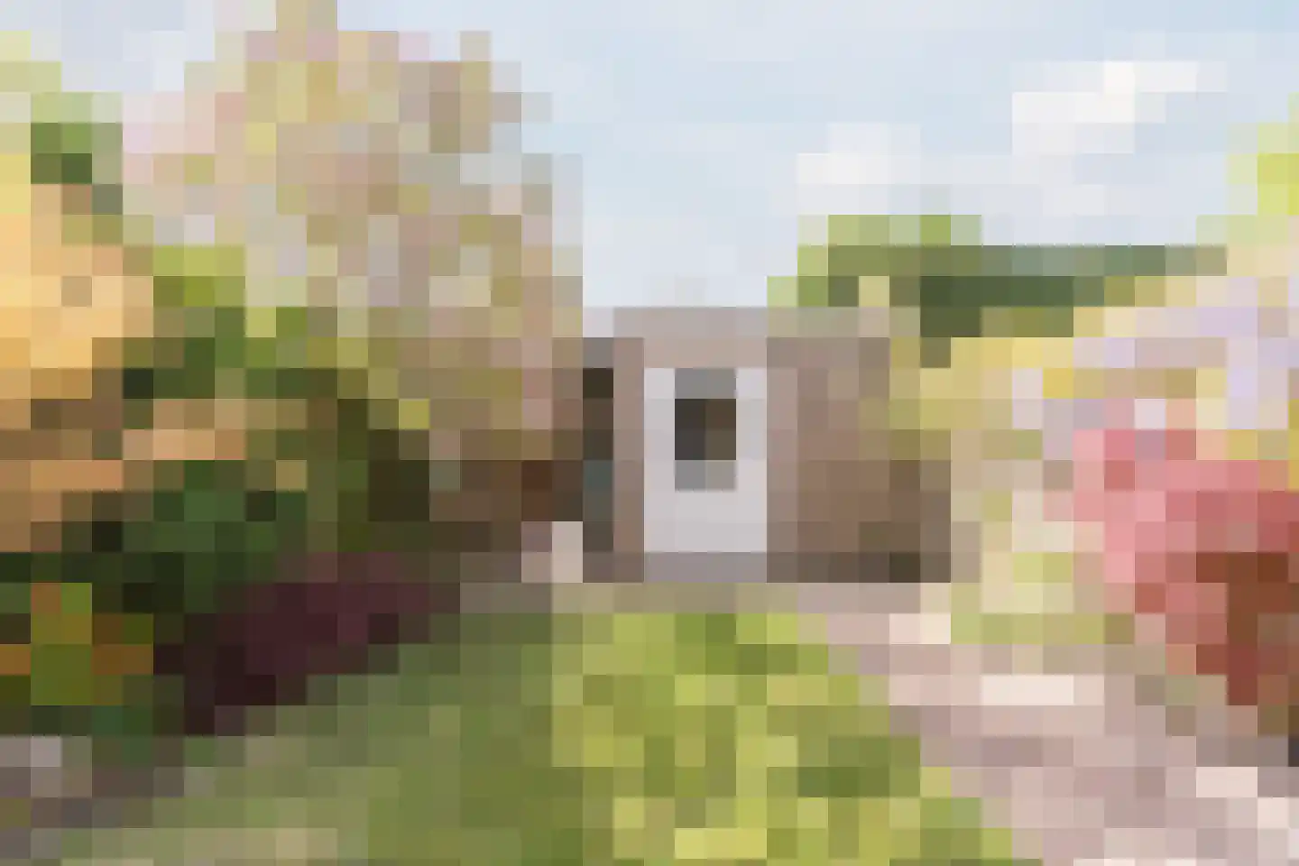 de Vang 13 Bergeijk thumbnail 29