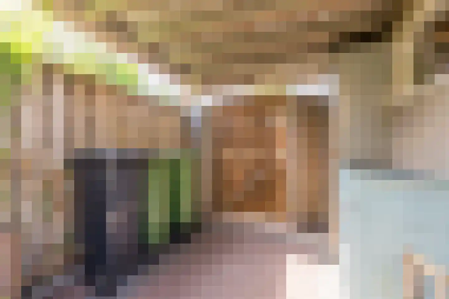 de Vang 13 Bergeijk thumbnail 30