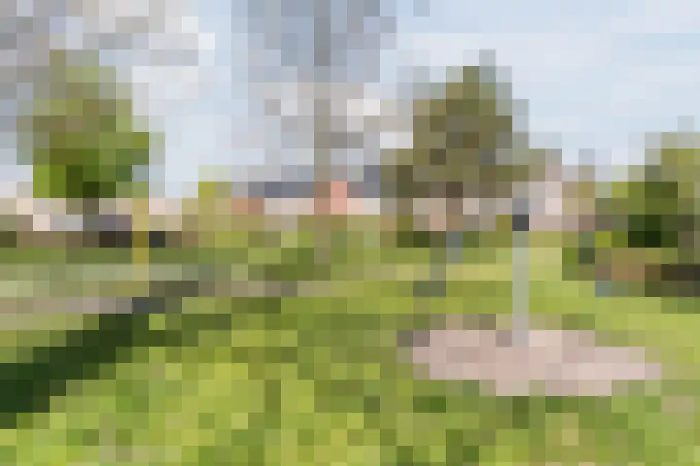 de Vang 13 Bergeijk thumbnail 32