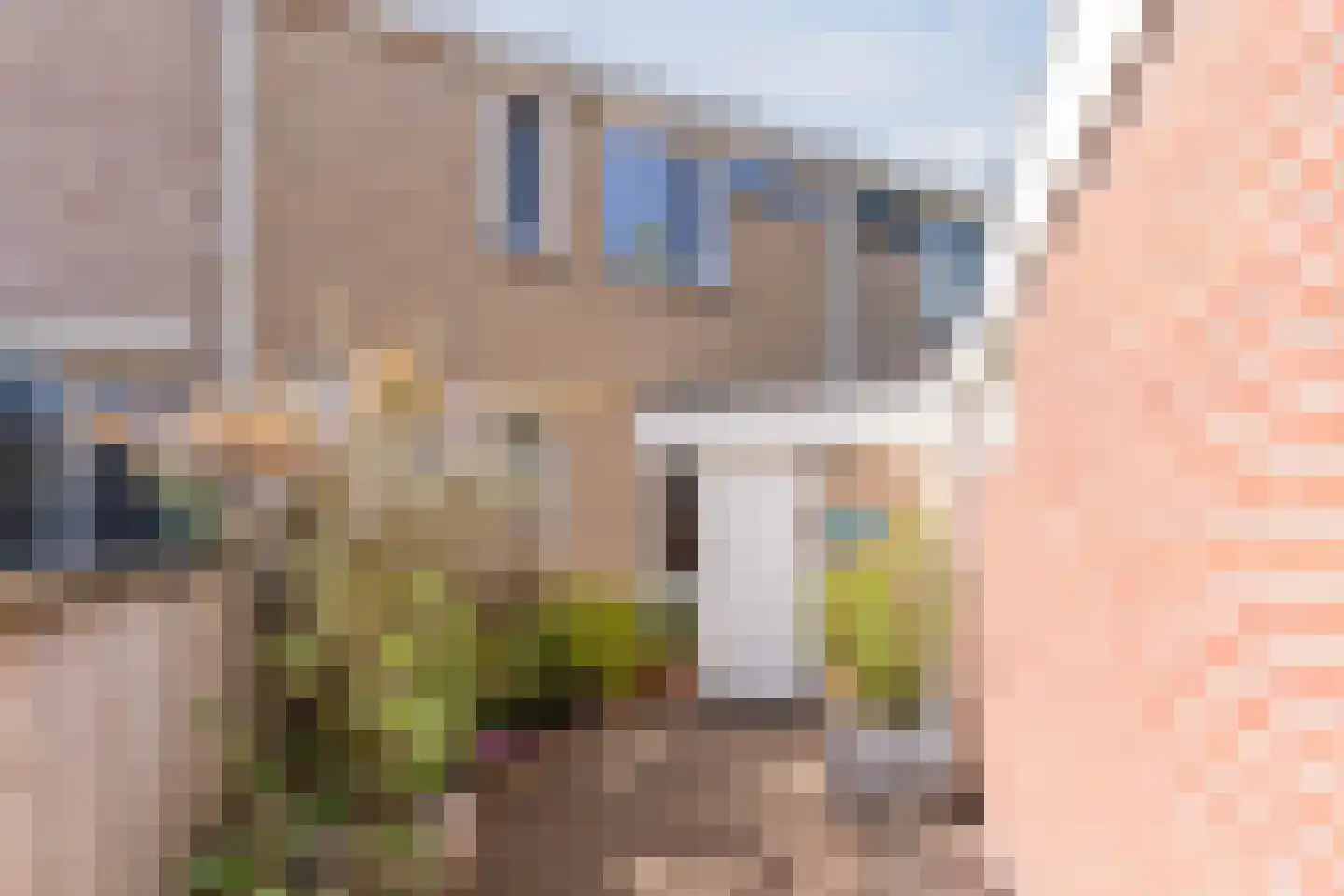 de Vang 13 Bergeijk thumbnail 4