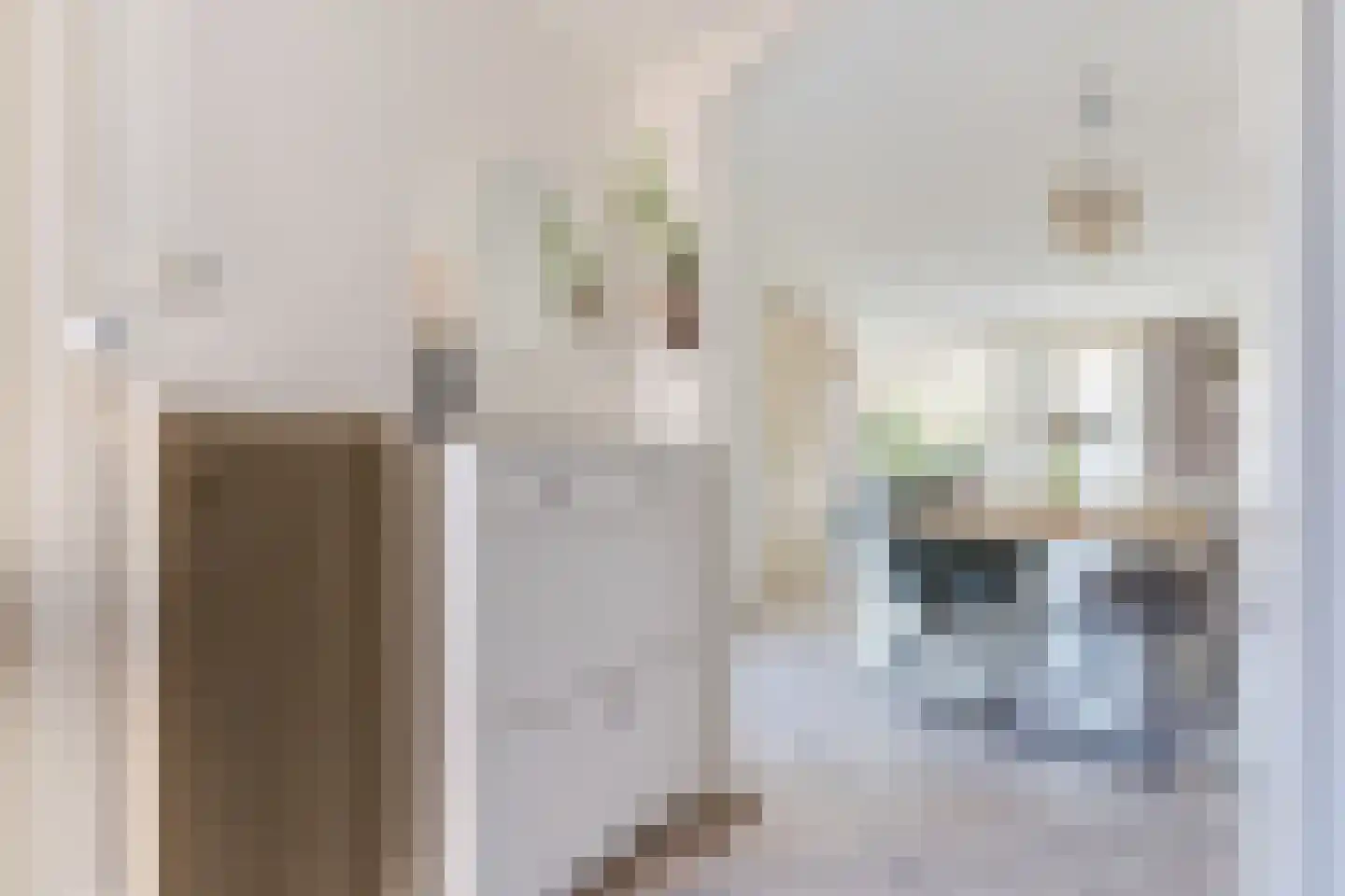 de Vang 13 Bergeijk thumbnail 5