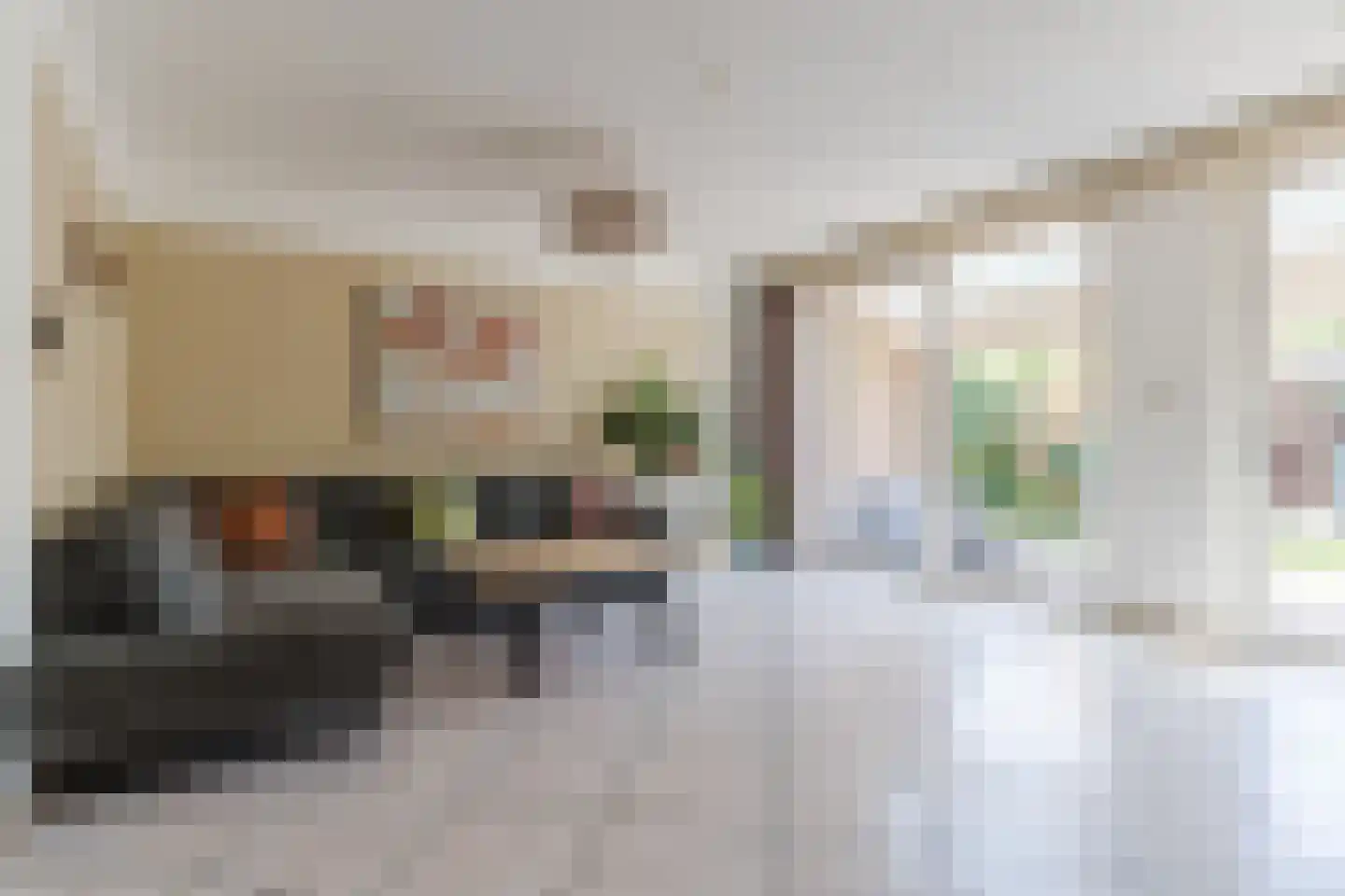 de Vang 13 Bergeijk thumbnail 7