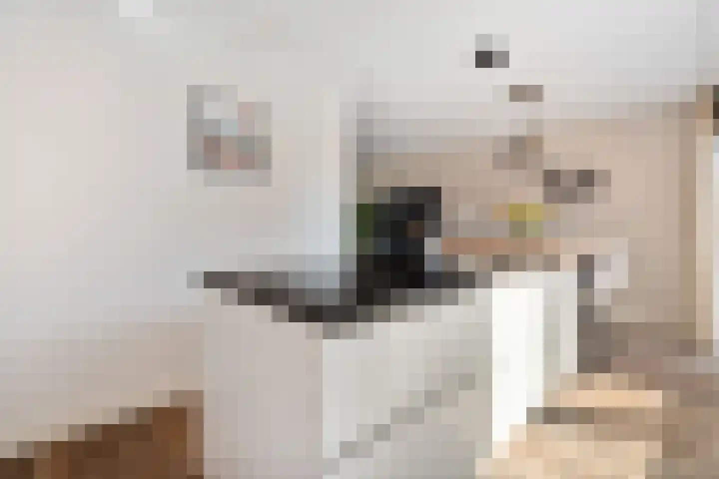 De Vang 13 Gendt thumbnail 15