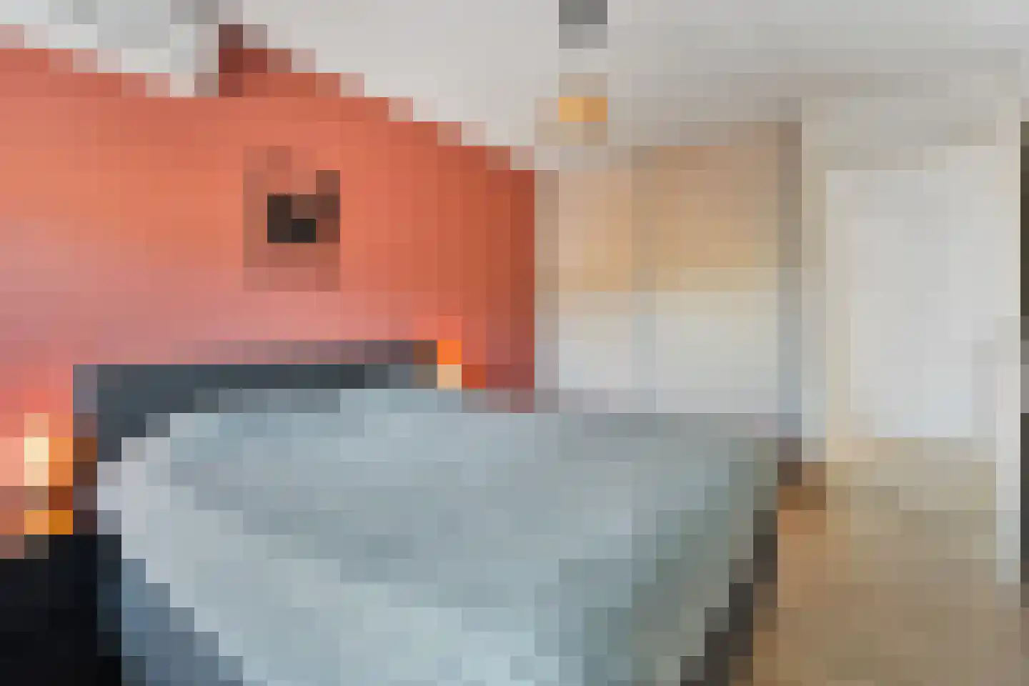 De Vang 13 Gendt thumbnail 19