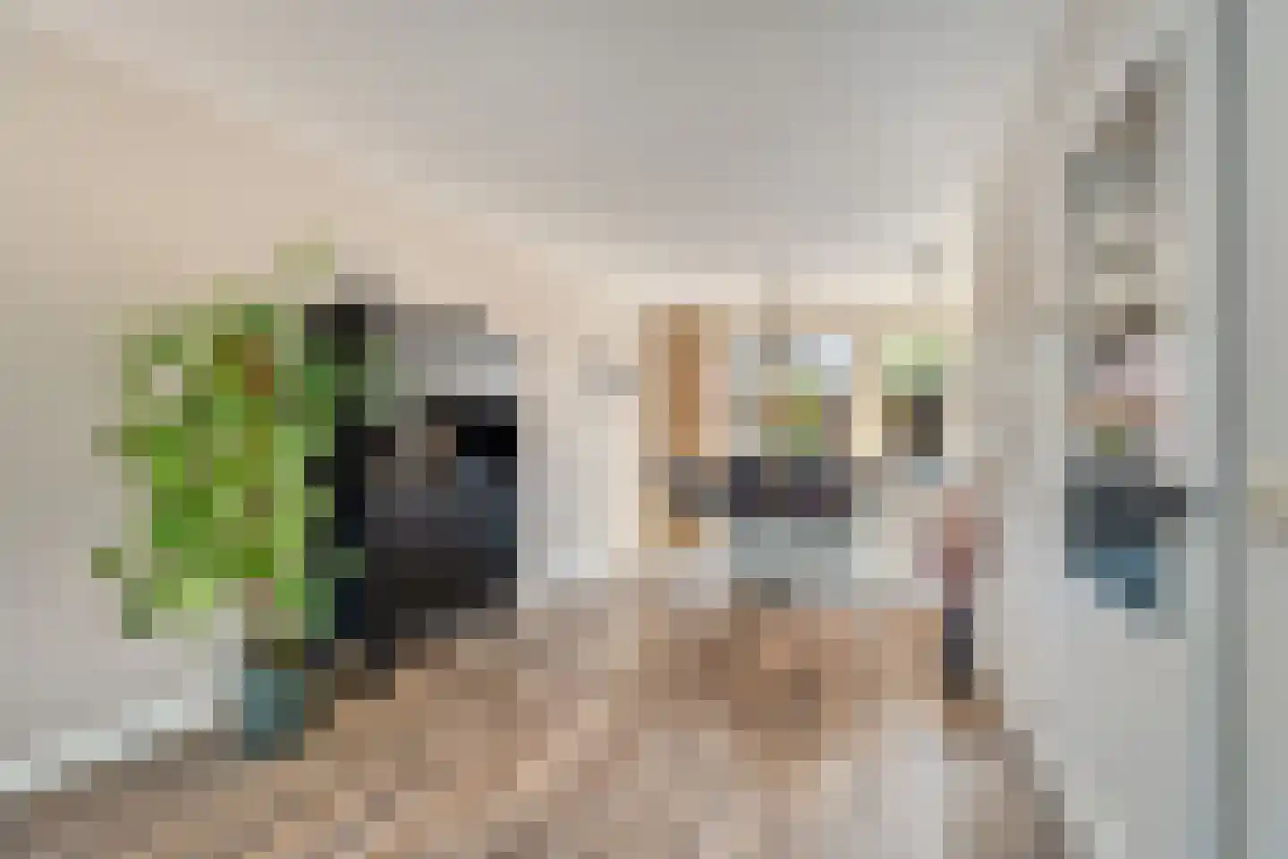 De Vang 13 Gendt thumbnail 9