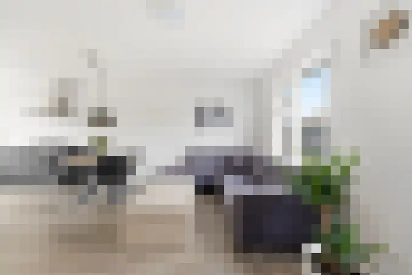 De Vang 134 Zevenbergschen Hoek thumbnail 8