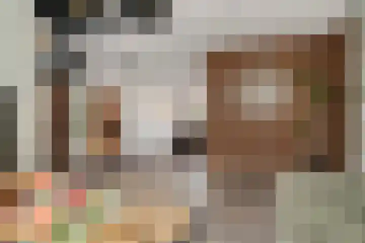 de Vang 21 Oirschot thumbnail 10