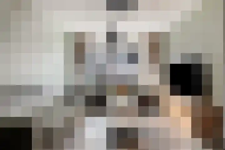 de Vang 21 Oirschot thumbnail 11