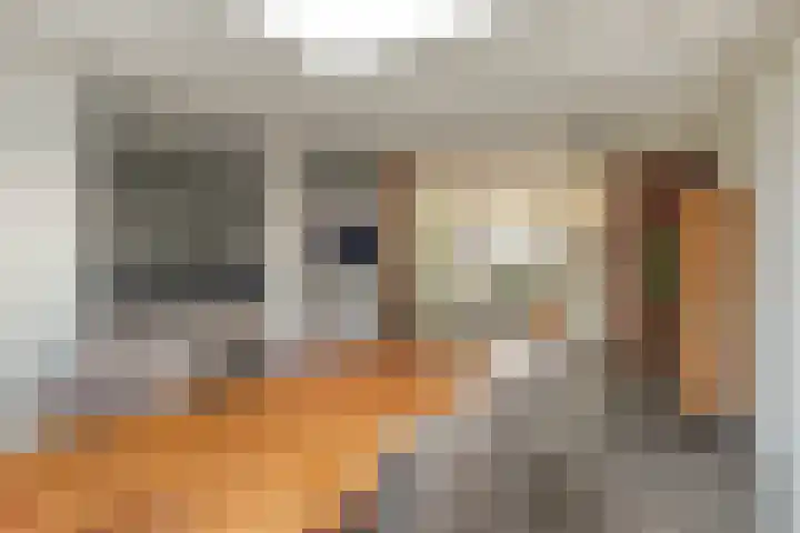 de Vang 21 Oirschot thumbnail 12