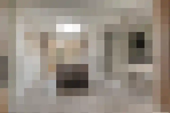 de Vang 21 Oirschot thumbnail 13