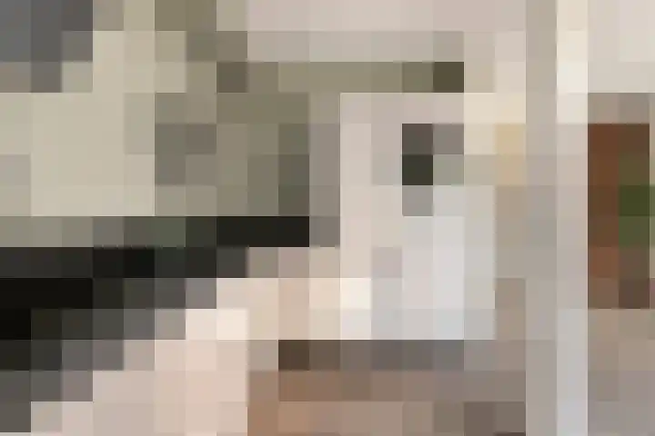 de Vang 21 Oirschot thumbnail 14