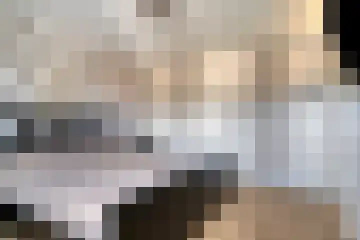 de Vang 21 Oirschot thumbnail 20
