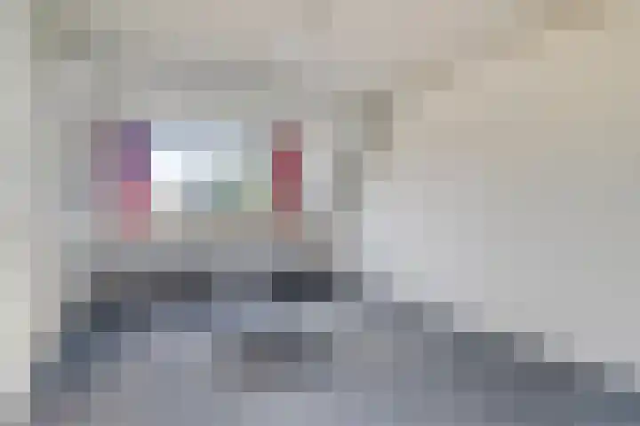 de Vang 21 Oirschot thumbnail 26
