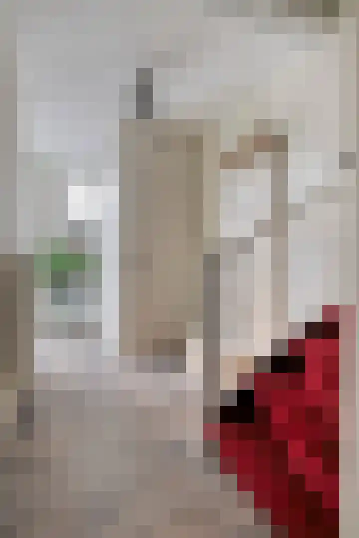 de Vang 21 Oirschot thumbnail 7