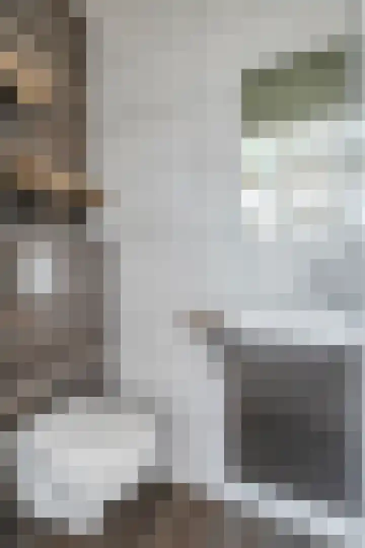 de Vang 21 Oirschot thumbnail 8
