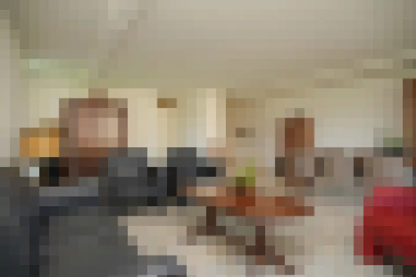 De Vang 22 Geldermalsen thumbnail 10