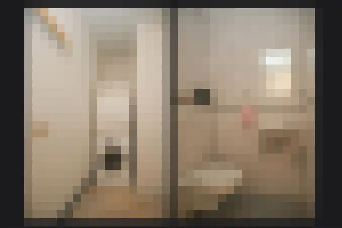 De Vang 22 Geldermalsen thumbnail 28
