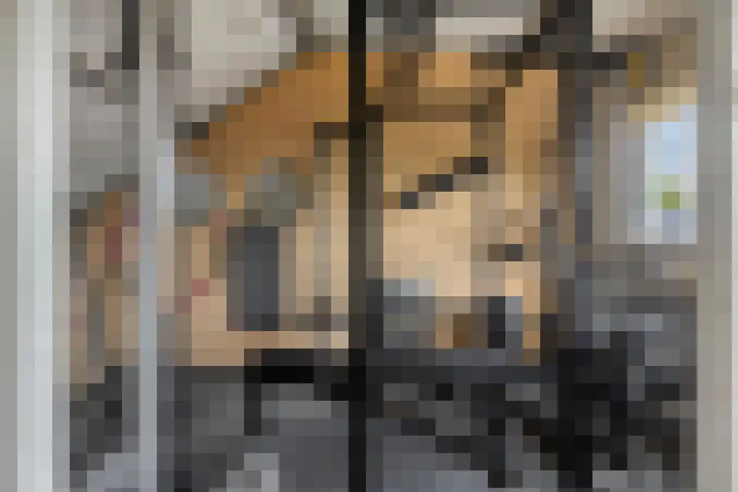 De Vang 24 Hoorn thumbnail 21