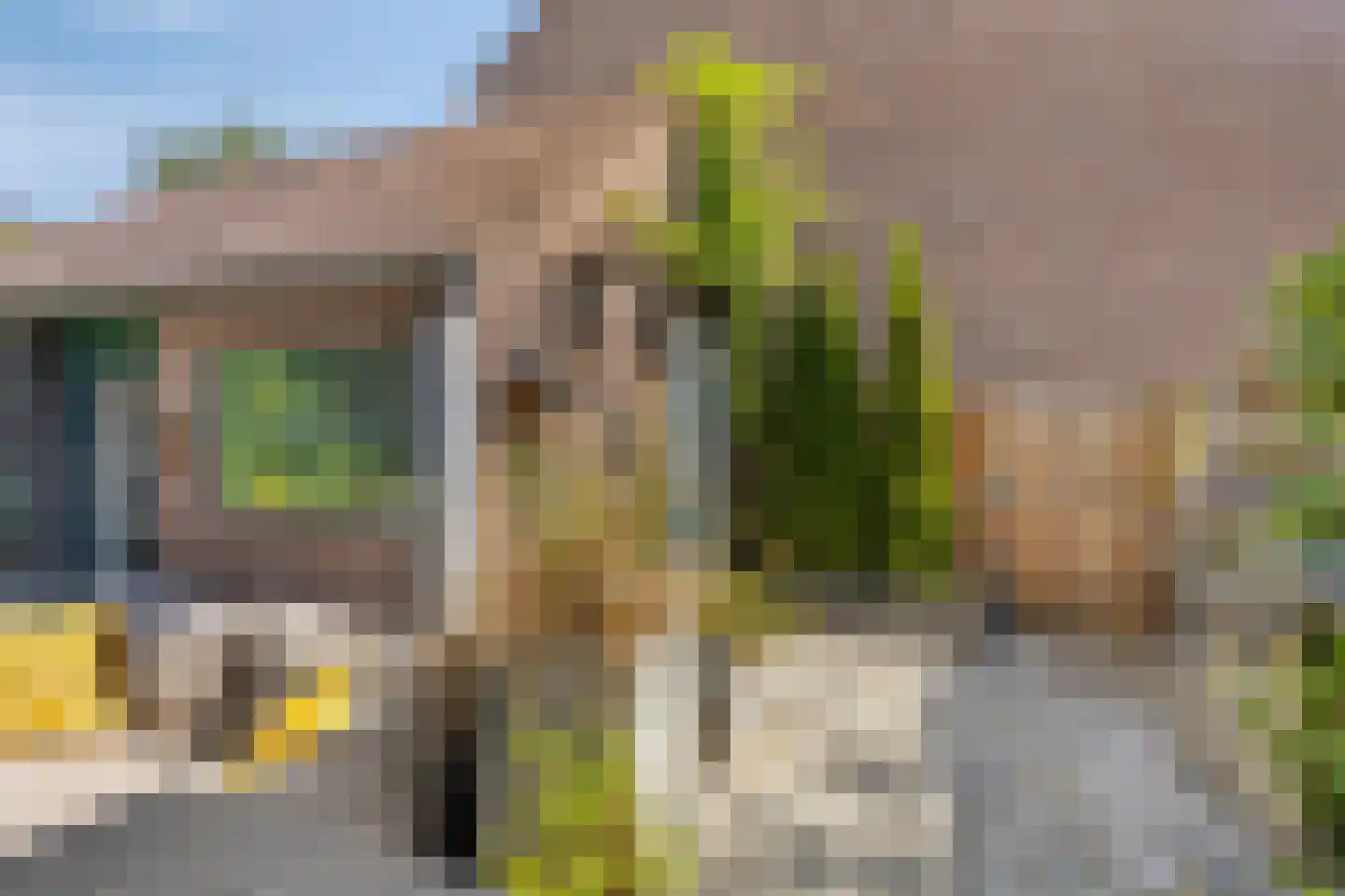 De Vang 24 Hoorn thumbnail 26