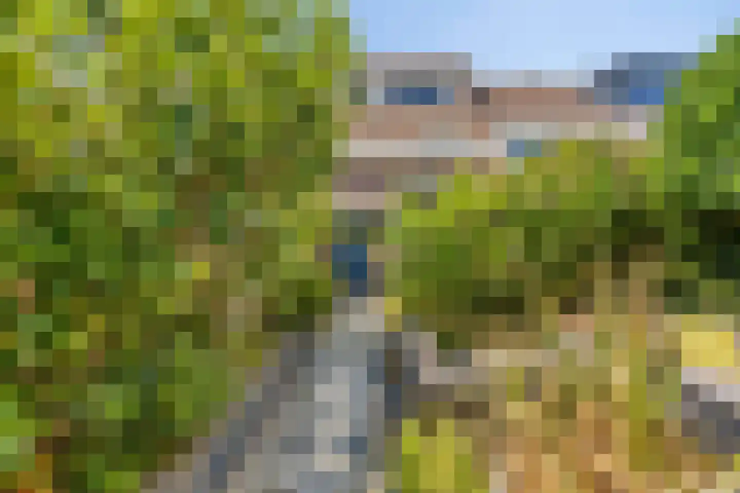 De Vang 24 Hoorn thumbnail 28