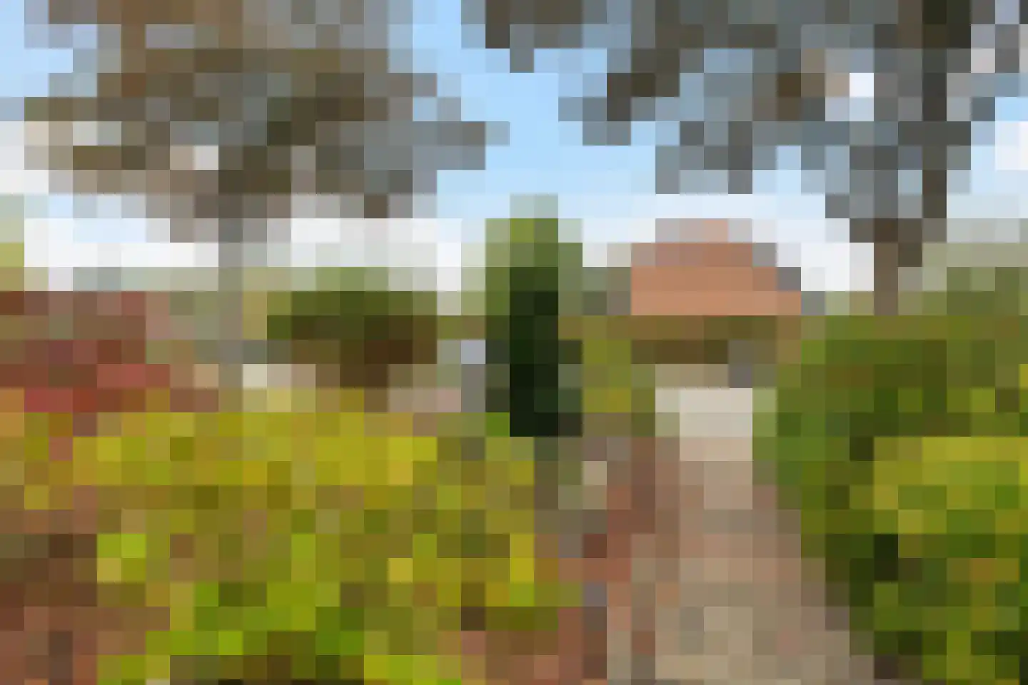 De Vang 27 Buitenpost thumbnail 10