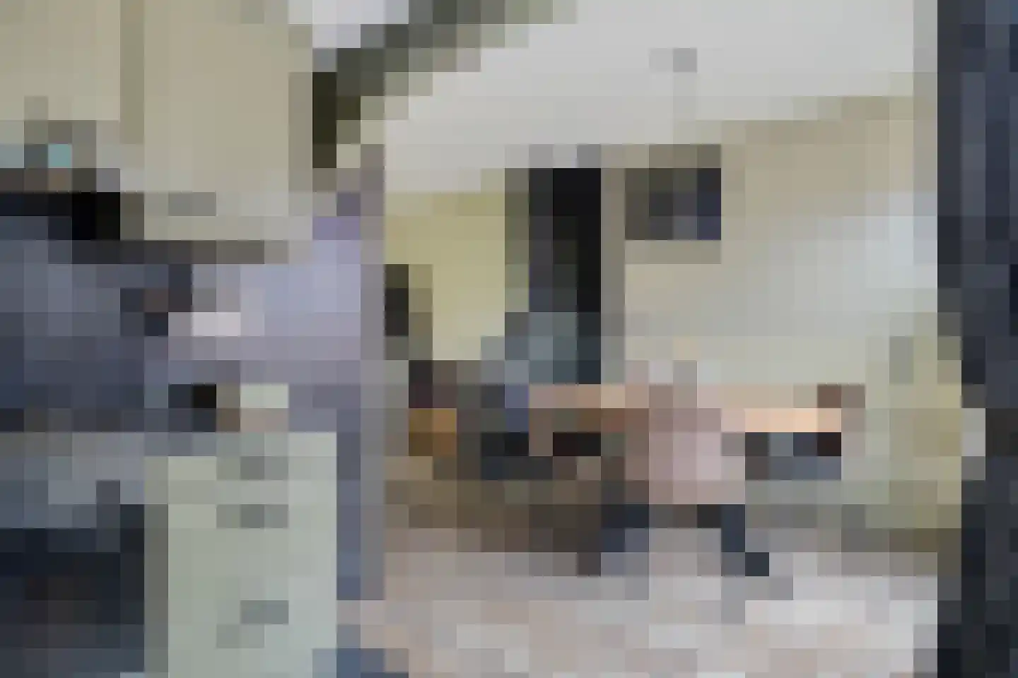 De Vang 27 Buitenpost thumbnail 17