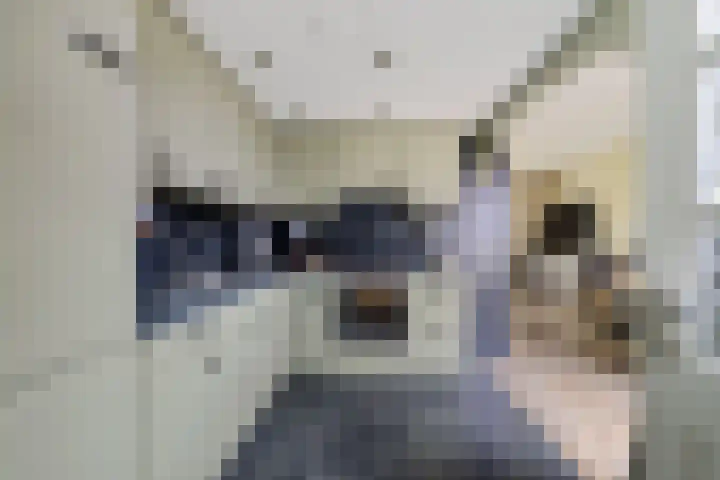 De Vang 27 Buitenpost thumbnail 18